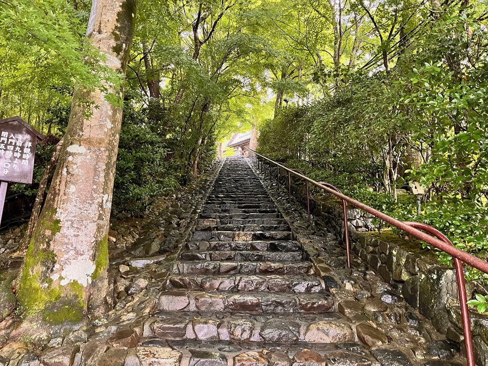 鈴虫寺は何時から並ぶ