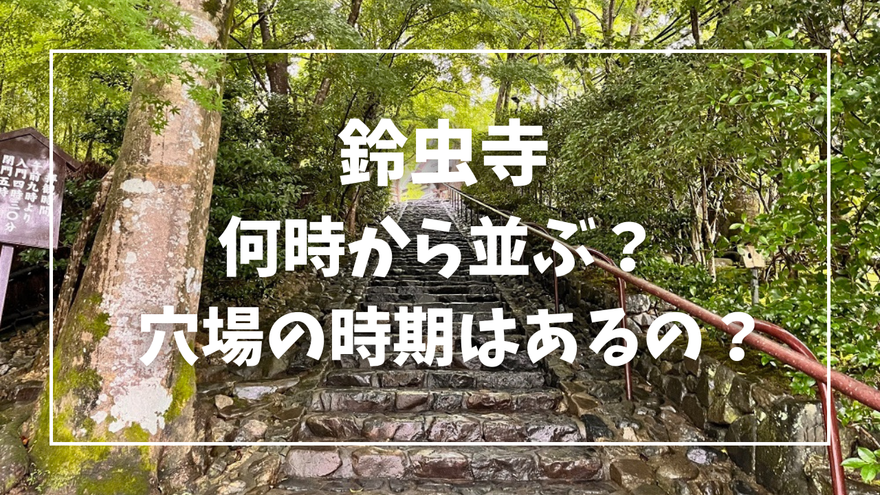 鈴虫寺何時から並ぶ